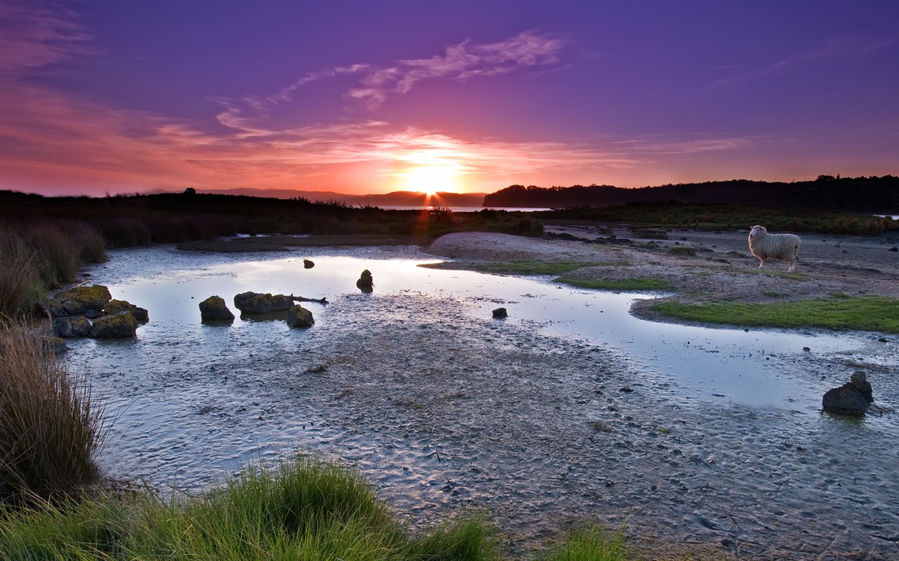 Wunderschön gerenderten Landschaften Wallpaper (7) #12 - 1280x800