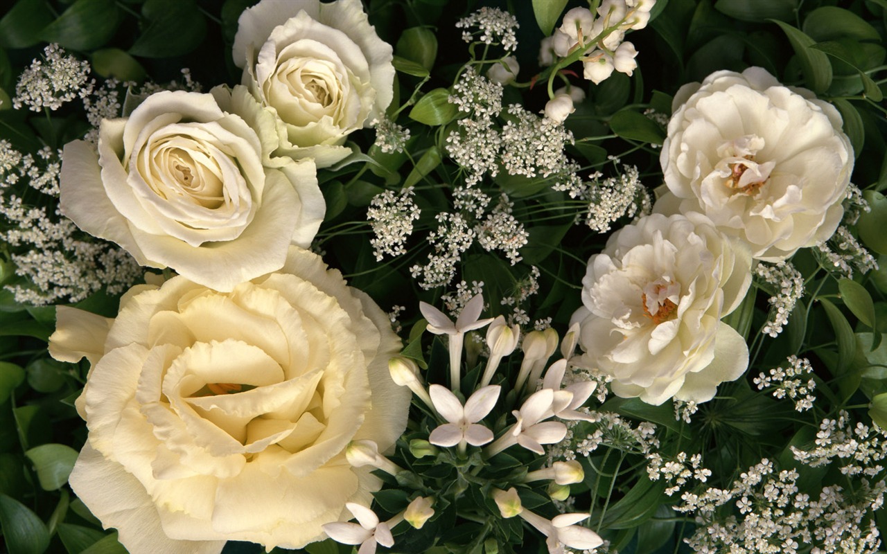 1680 flowers green leaf background wallpaper (1) #6 - 1280x800