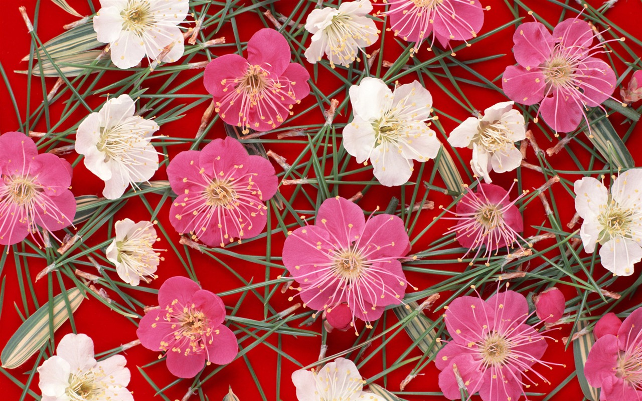 1680 flowers green leaf background wallpaper (1) #10 - 1280x800