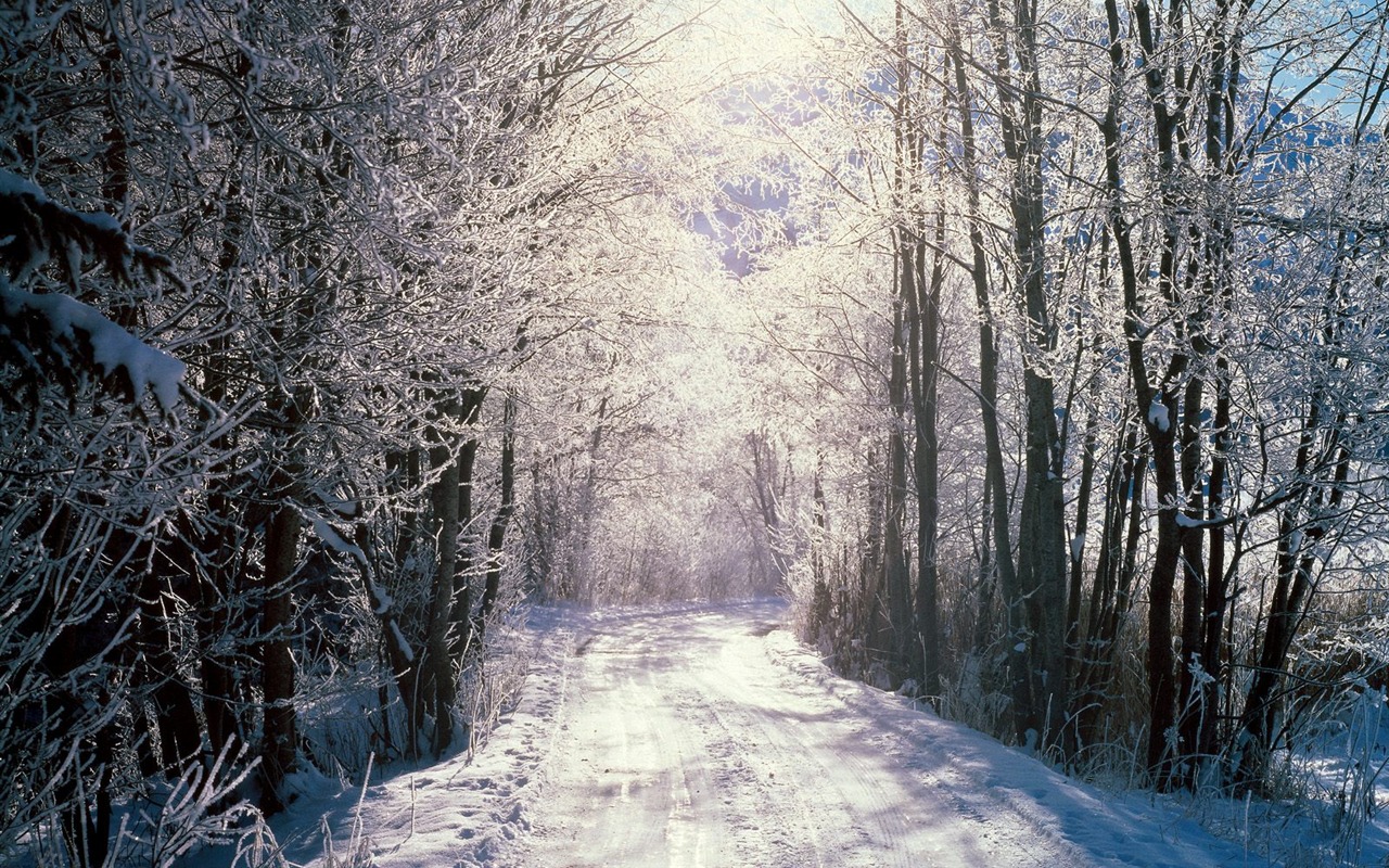 雪山雪景合集 壁纸(四)12 - 1280x800