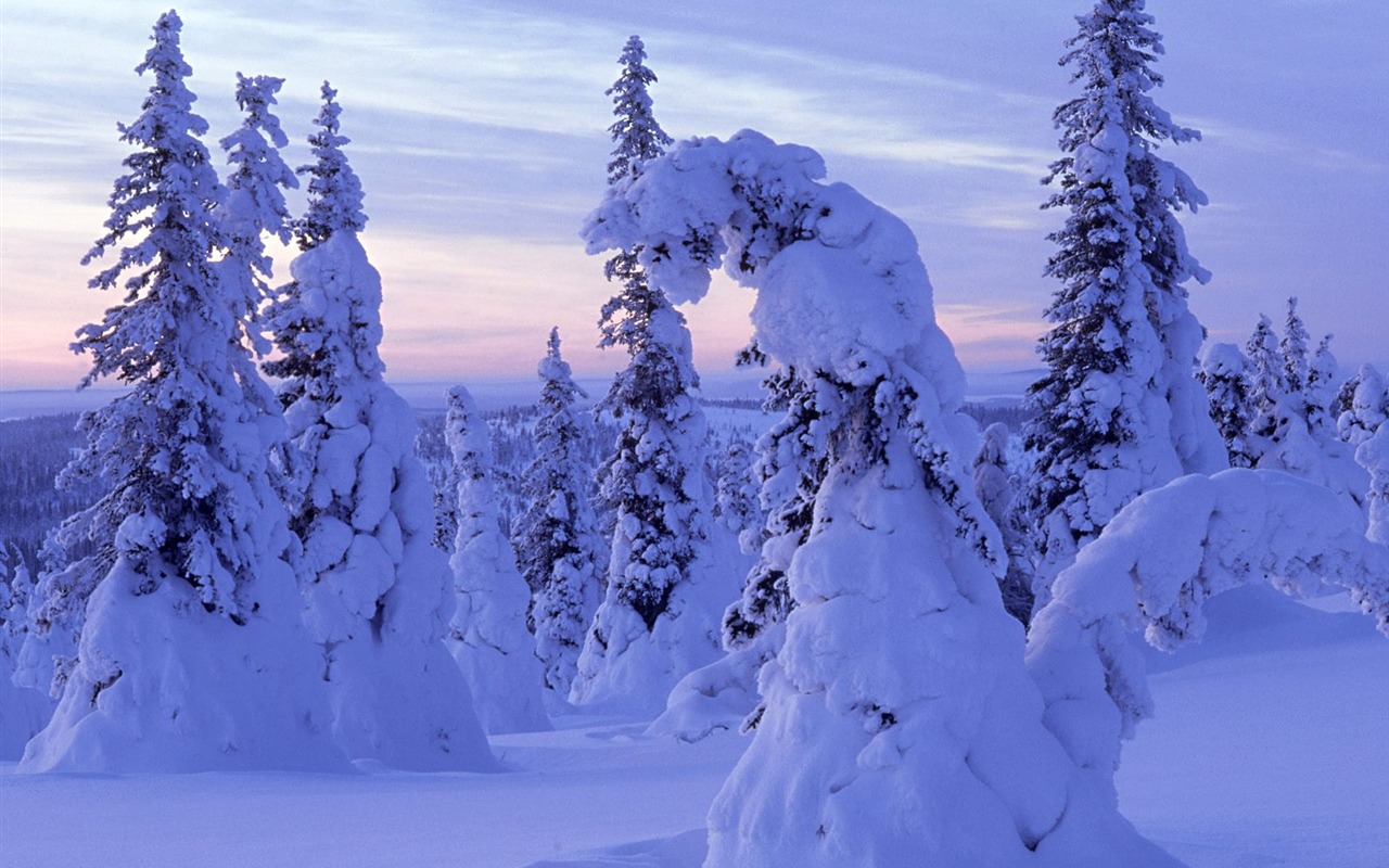 雪山雪景合集 壁纸(四)17 - 1280x800