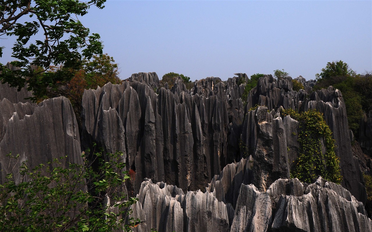 Steinwald in Yunnan Linie (1) (Khitan Wolf arbeitet) #19 - 1280x800