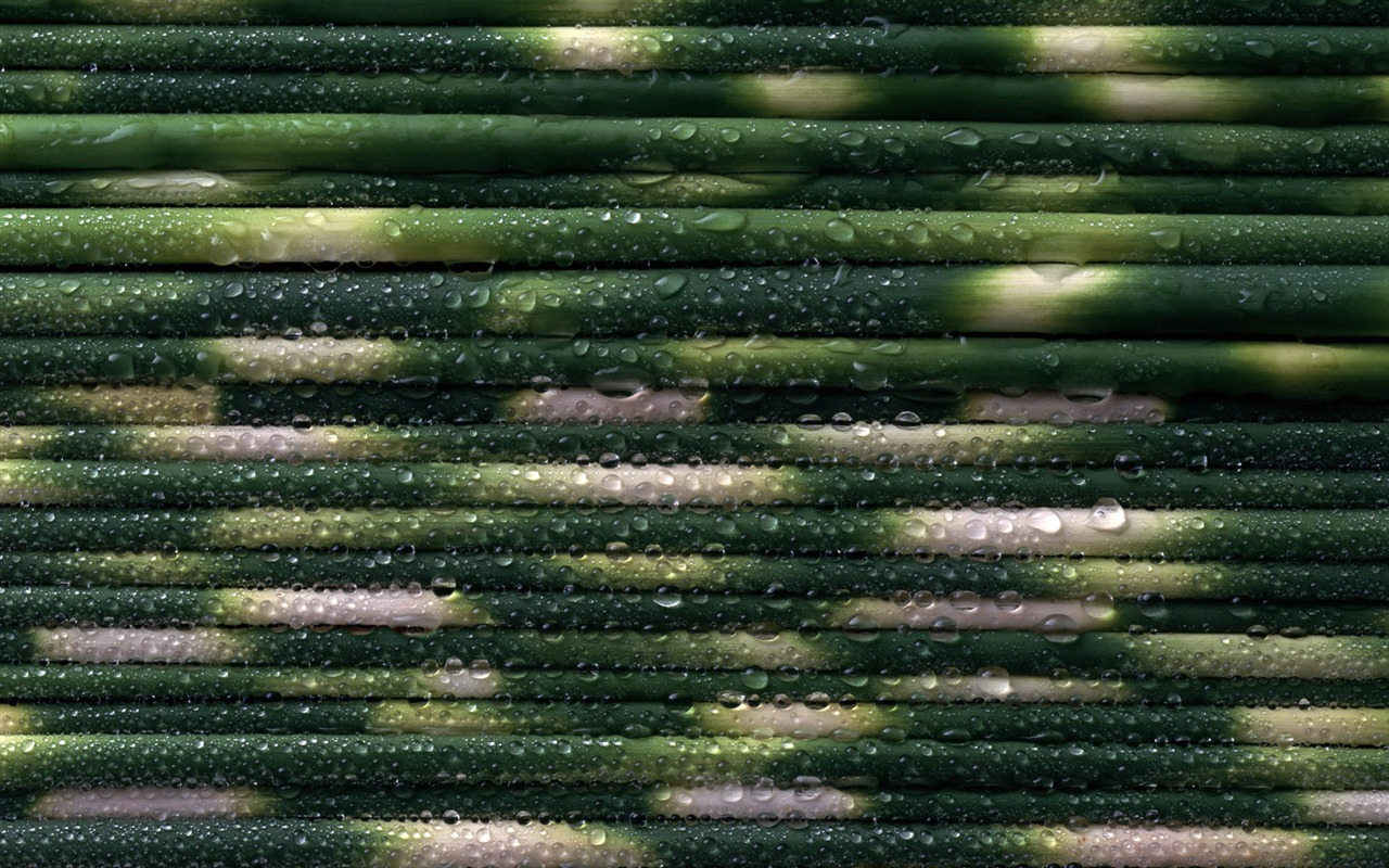 1680 꽃 녹색 잎 배경 벽지 (3) #7 - 1280x800