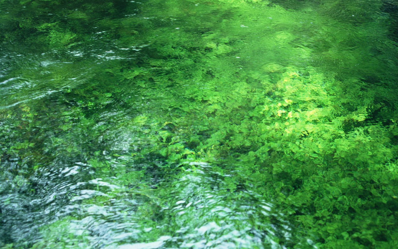 Stream Celovečerní Wallpaper (1) #1 - 1280x800