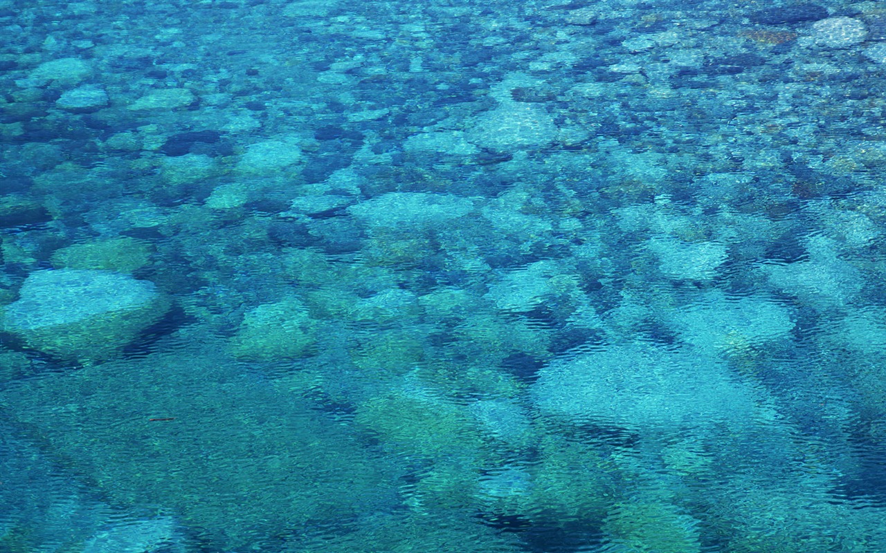 Stream Celovečerní Wallpaper (1) #4 - 1280x800