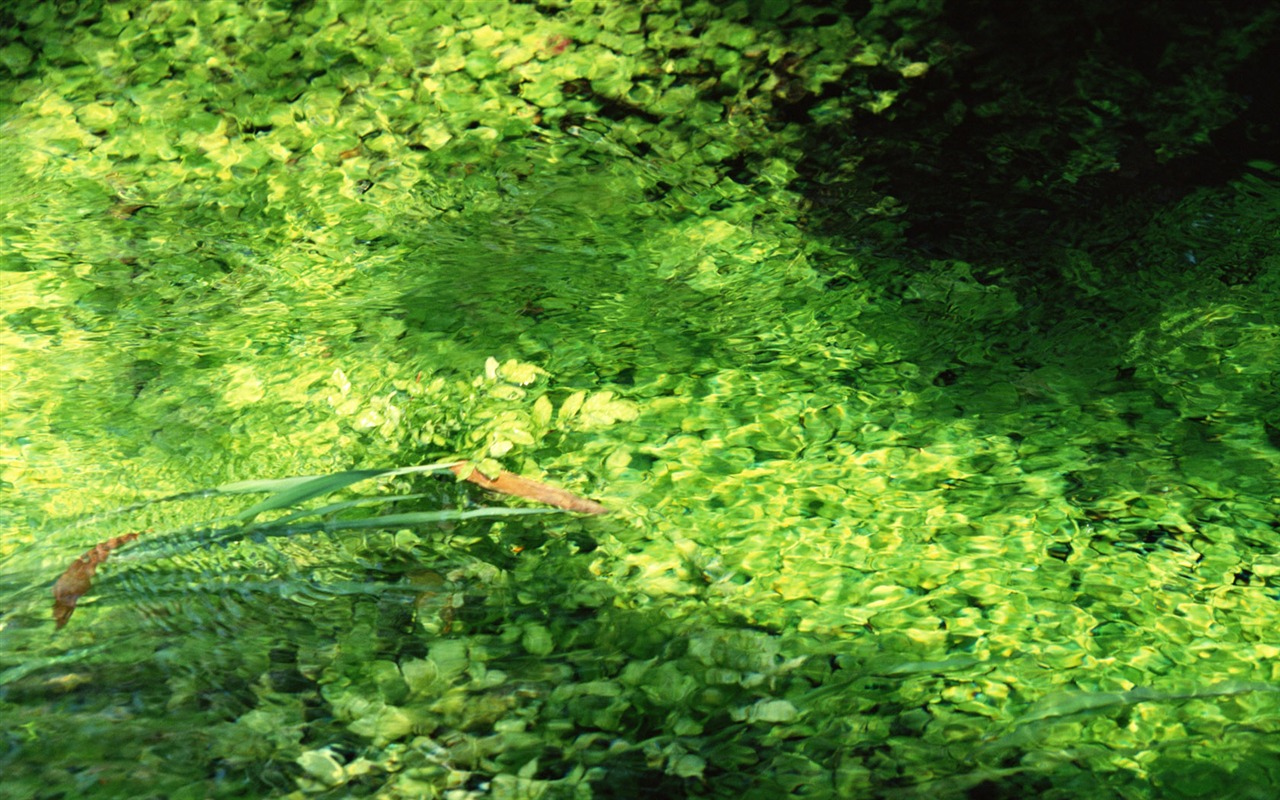 Stream Feature Wallpaper (1) #18 - 1280x800