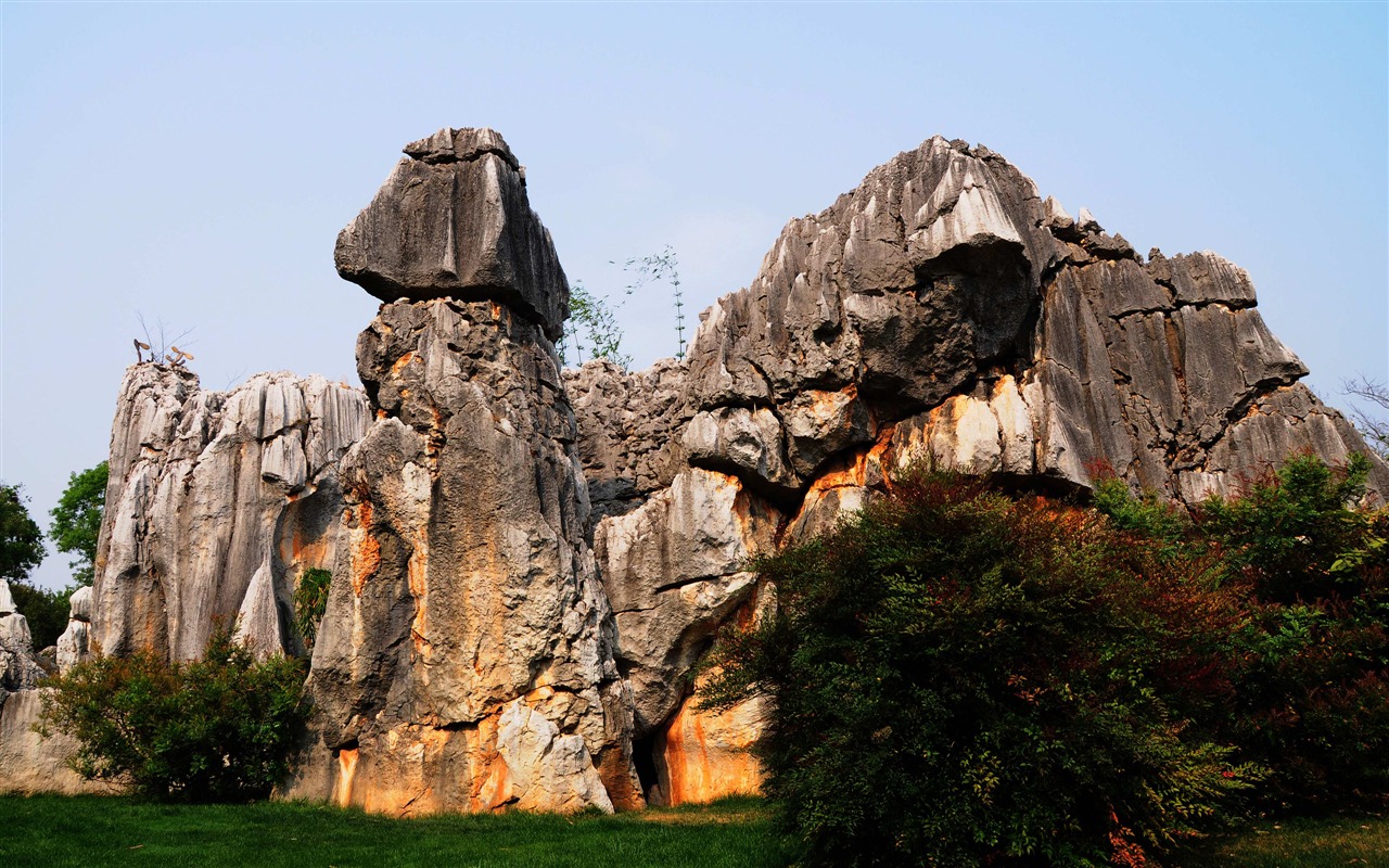 Stone Forest in Yunnan line (2) (Khitan wolf works) #26 - 1280x800
