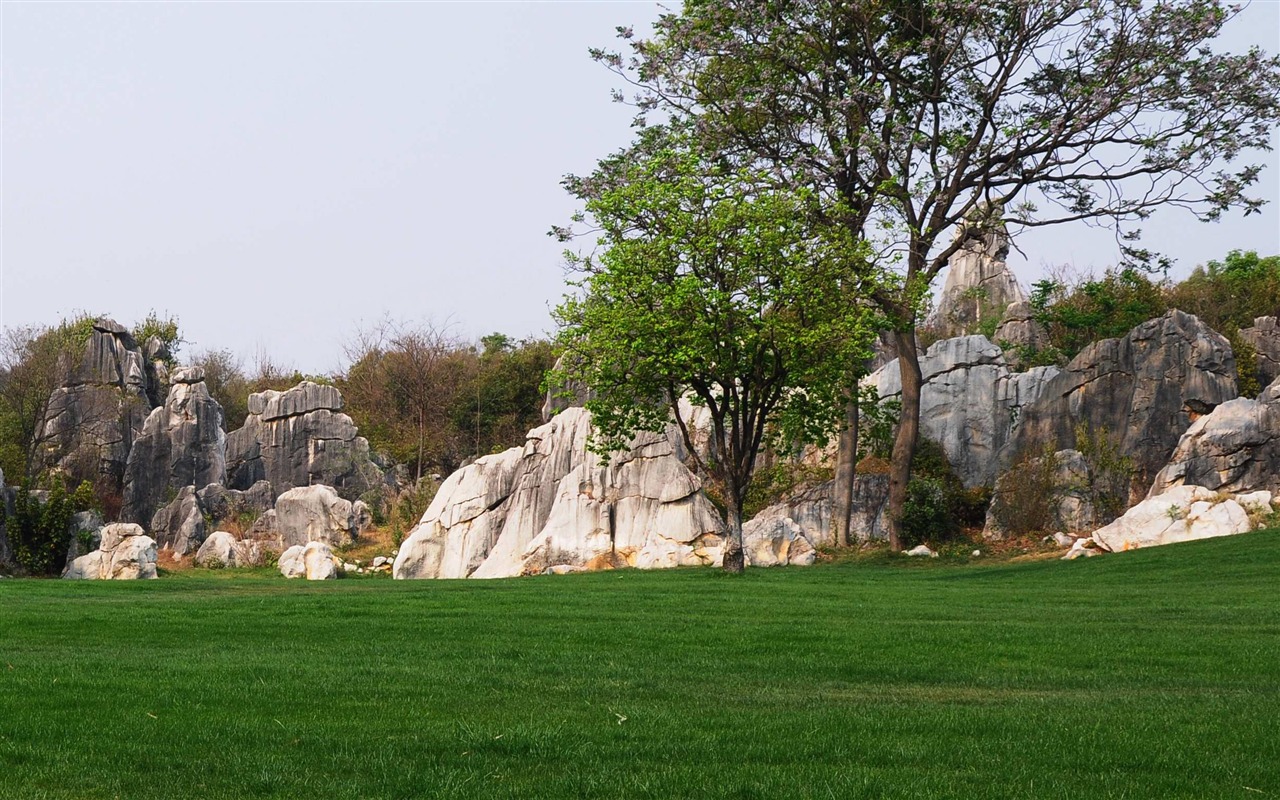 Stone Forest in Yunnan line (2) (Khitan wolf works) #27 - 1280x800