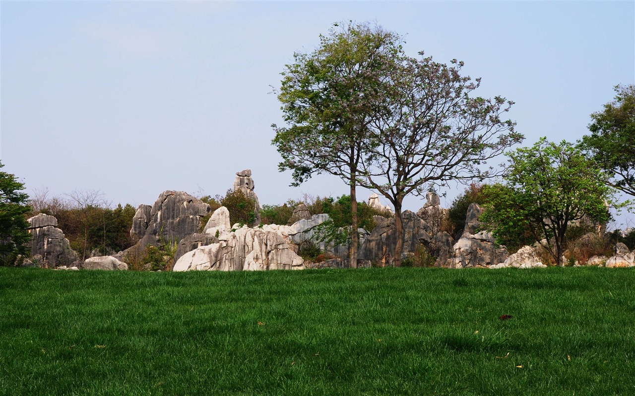 Stone Forest in Yunnan line (2) (Khitan wolf works) #28 - 1280x800