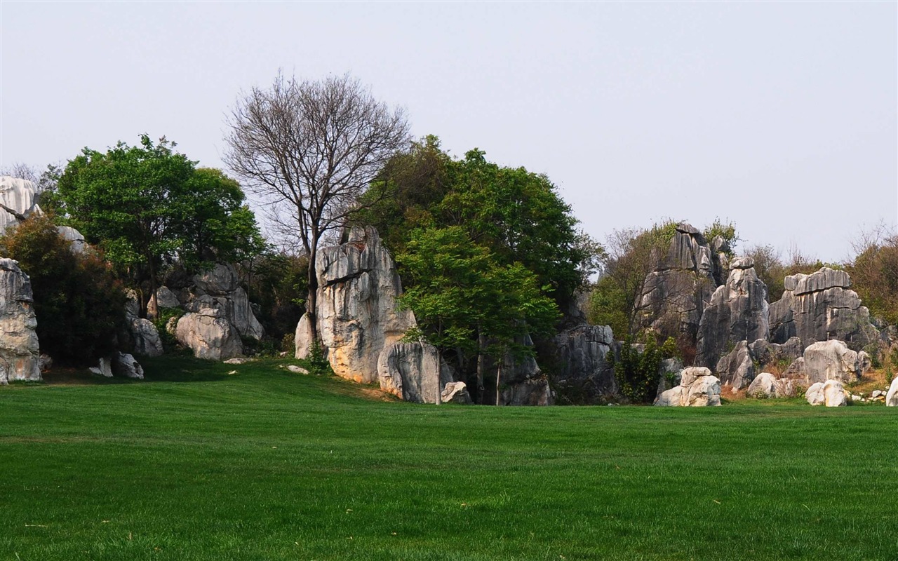 Stone Forest in Yunnan line (2) (Khitan wolf works) #34 - 1280x800