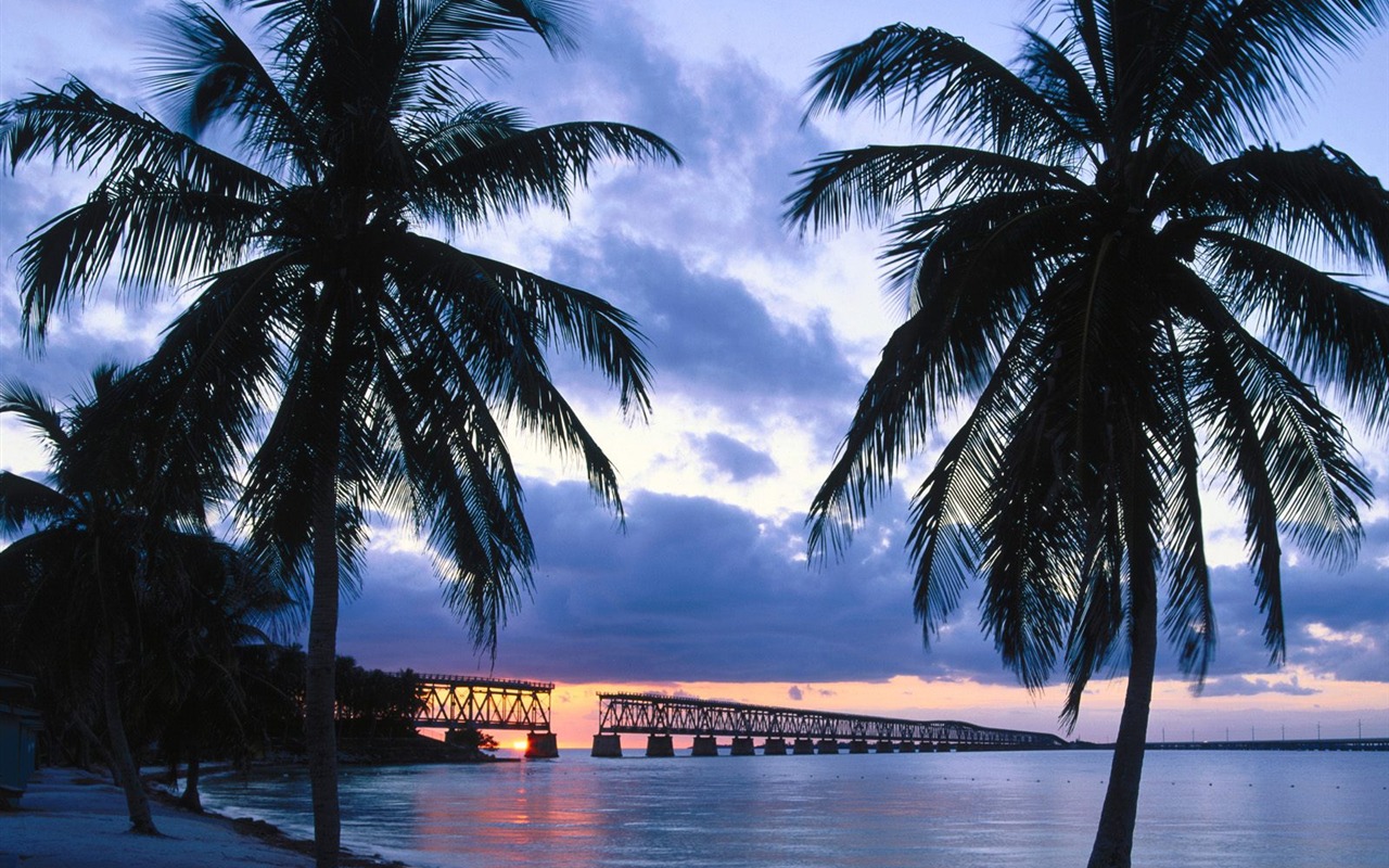 Palm tree sunset wallpaper (1) #2 - 1280x800