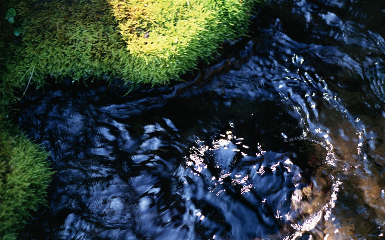 Stream Celovečerní Wallpaper (2) #1 - 1280x800