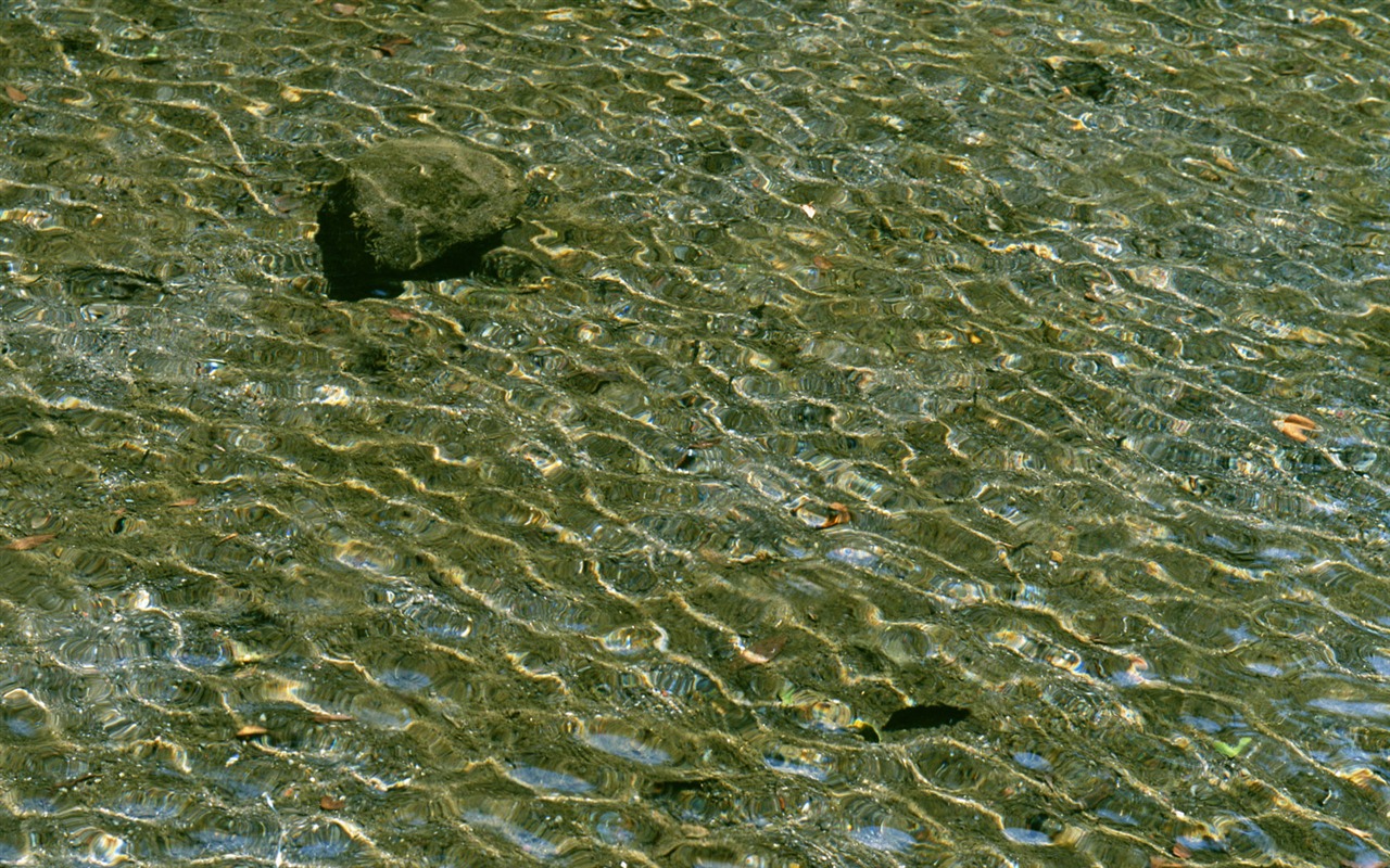 Stream Celovečerní Wallpaper (2) #5 - 1280x800