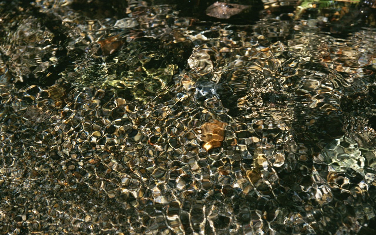 Stream Celovečerní Wallpaper (2) #6 - 1280x800