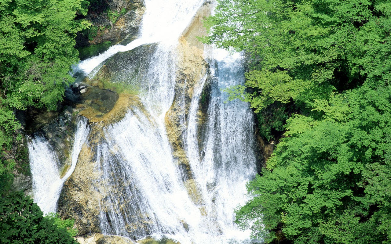 Waterfall streams wallpaper (1) #1 - 1280x800