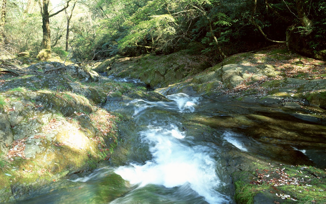 Cascada arroyos fondo de pantalla (1) #4 - 1280x800