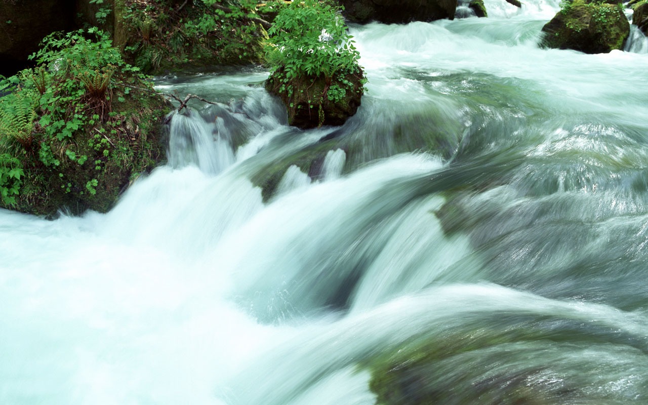 Cascada arroyos fondo de pantalla (1) #8 - 1280x800