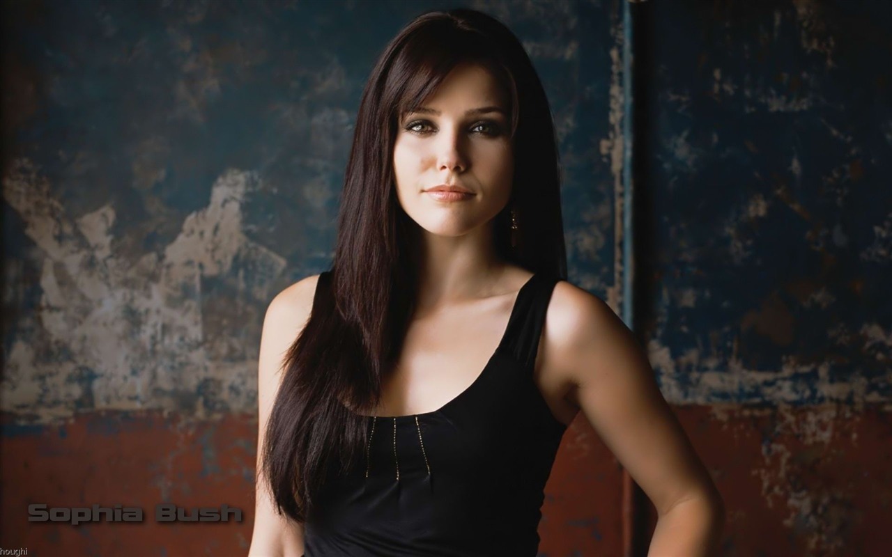 Sophia Bush krásnou tapetu #4 - 1280x800