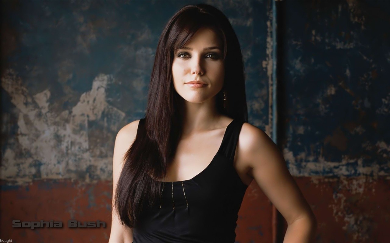 Sophia Bush beau fond d'écran #4 - 1280x800