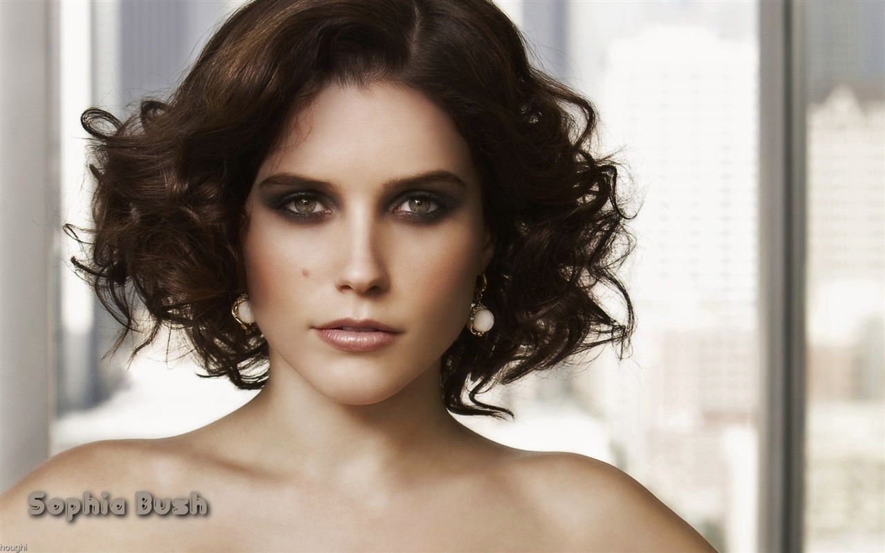 Sophia Bush krásnou tapetu #11 - 1280x800