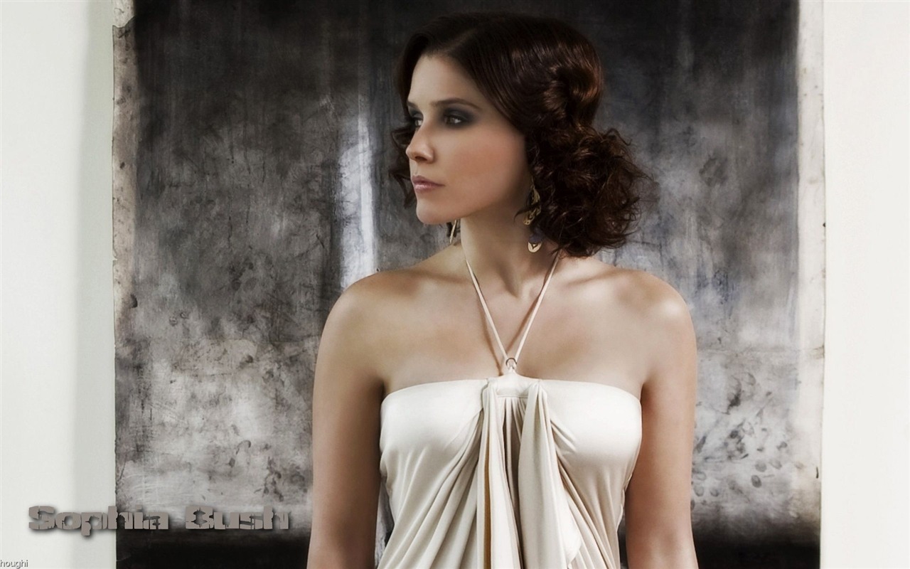Sophia Bush krásnou tapetu #12 - 1280x800