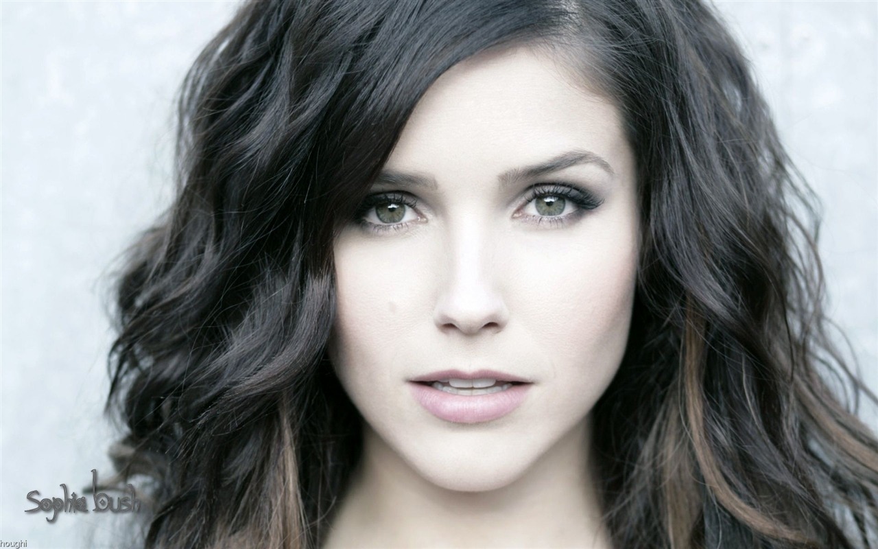 Sophia Bush krásnou tapetu #17 - 1280x800