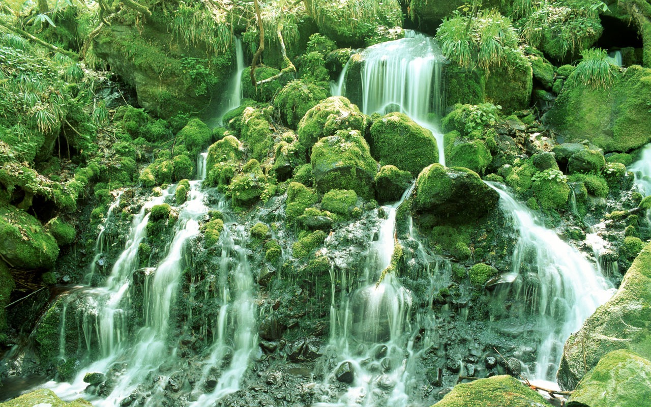 Waterfall streams wallpaper (2) #2 - 1280x800