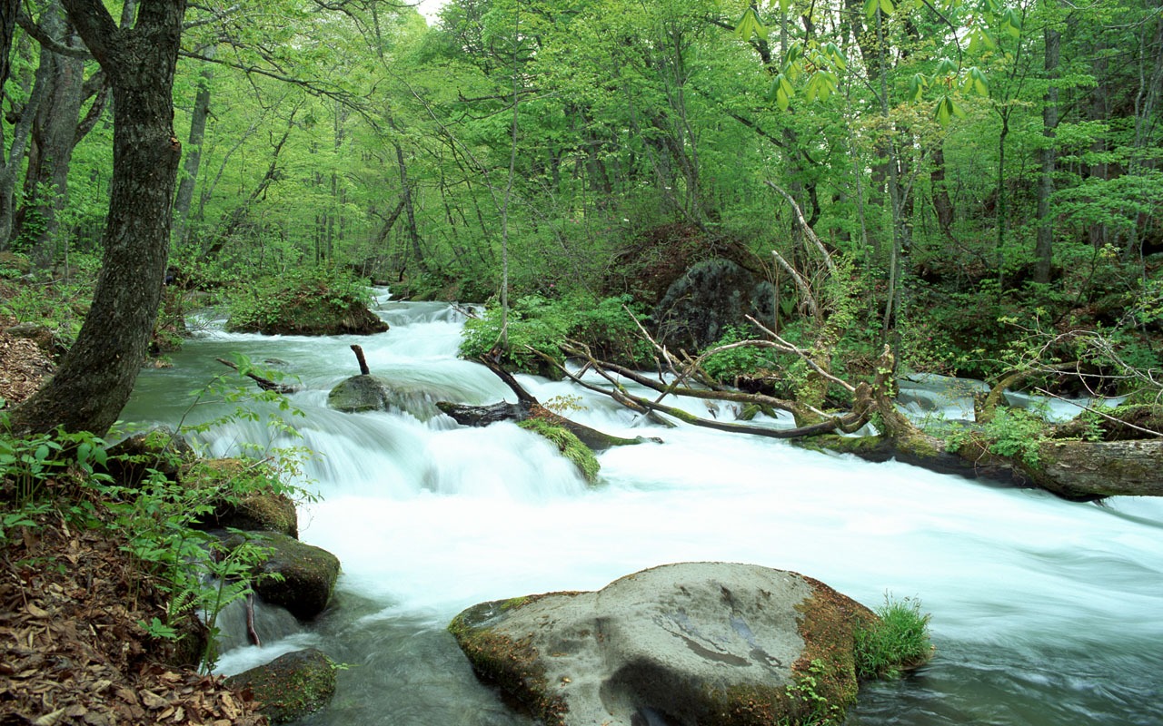 Waterfall streams wallpaper (2) #4 - 1280x800