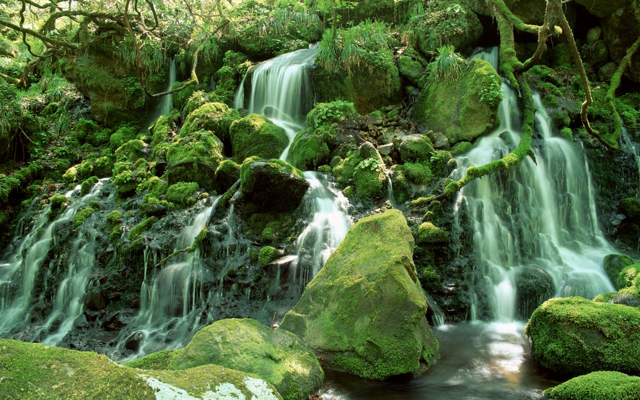 Waterfall streams wallpaper (2) #7 - 1280x800