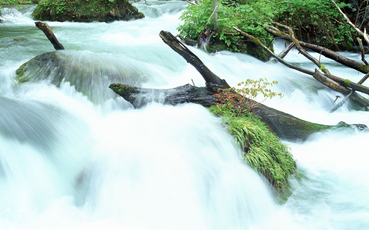 Cascada arroyos fondo de pantalla (2) #11 - 1280x800