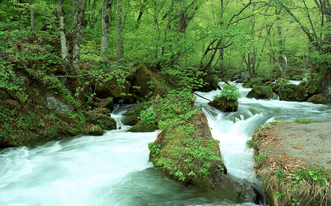 Vodopád proudy tapety (2) #13 - 1280x800