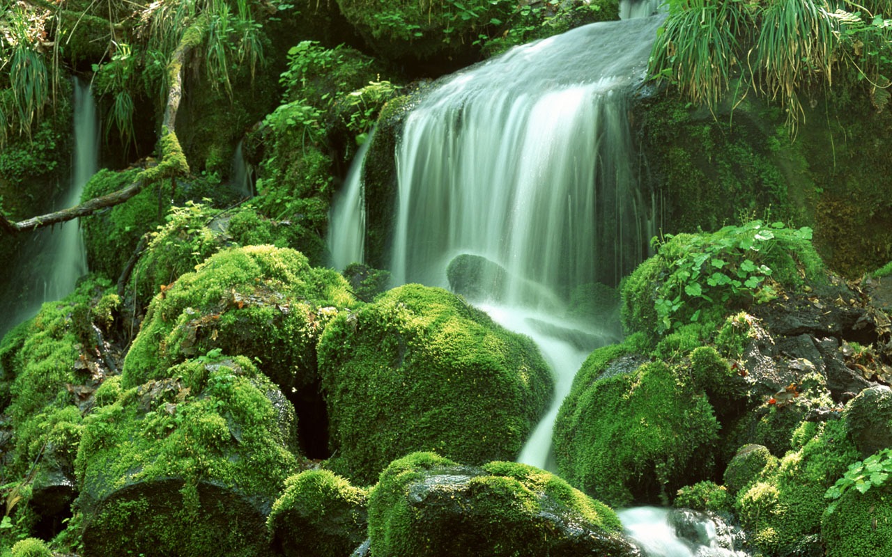 Waterfall streams wallpaper (2) #14 - 1280x800