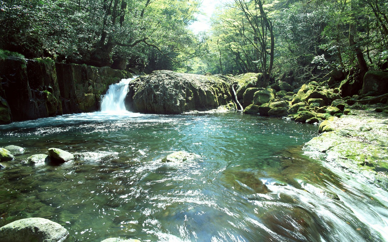 Cascada arroyos fondo de pantalla (2) #16 - 1280x800