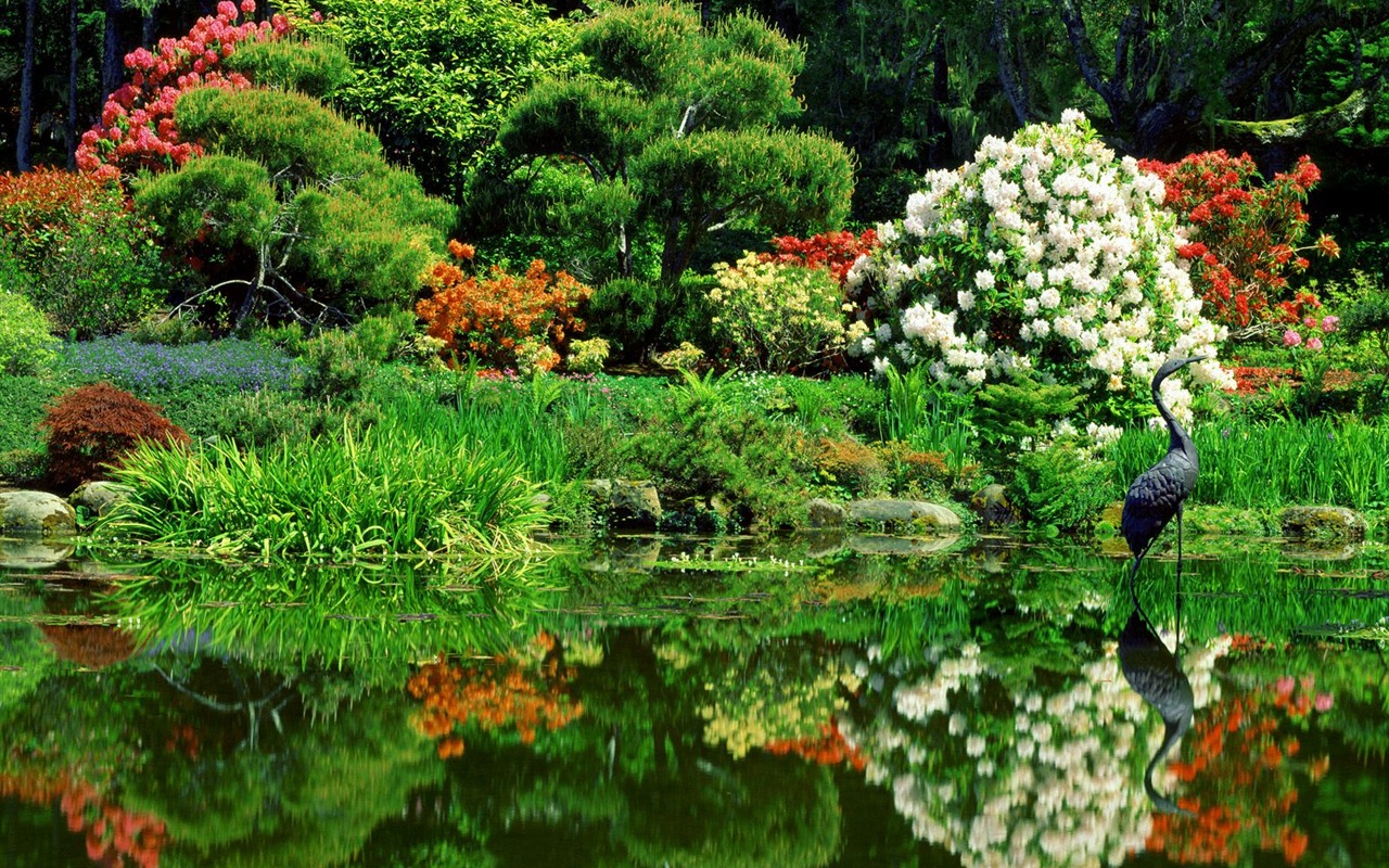 Plant trees wallpaper (4) #11 - 1280x800