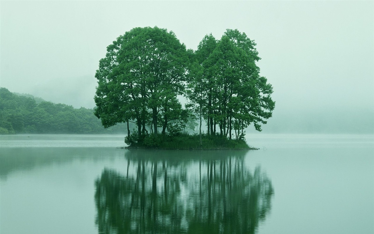 Zasadit stromy, tapety (4) #18 - 1280x800