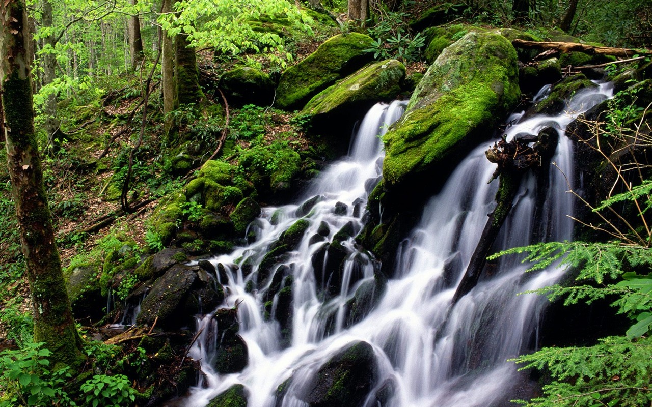 Cascada arroyos fondo de pantalla (3) #3 - 1280x800