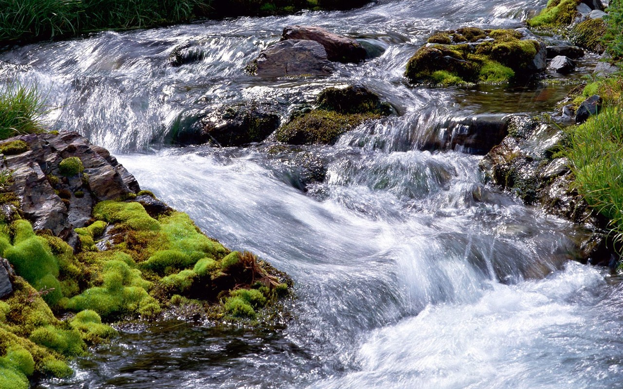 Cascada arroyos fondo de pantalla (3) #18 - 1280x800