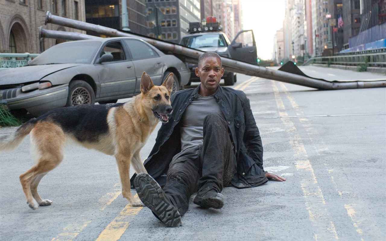 I Am Legend HD wallpaper #2 - 1280x800