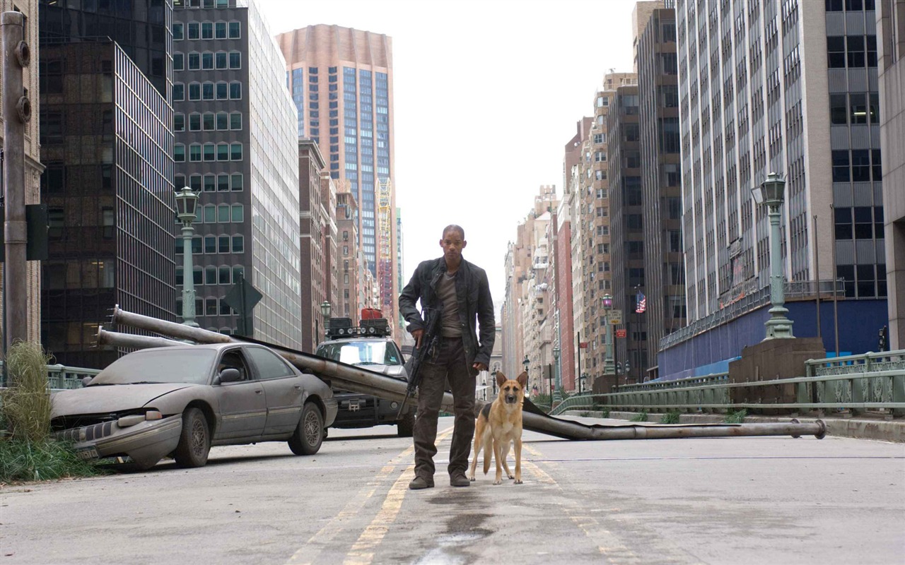 I Am Legend HD wallpaper #3 - 1280x800