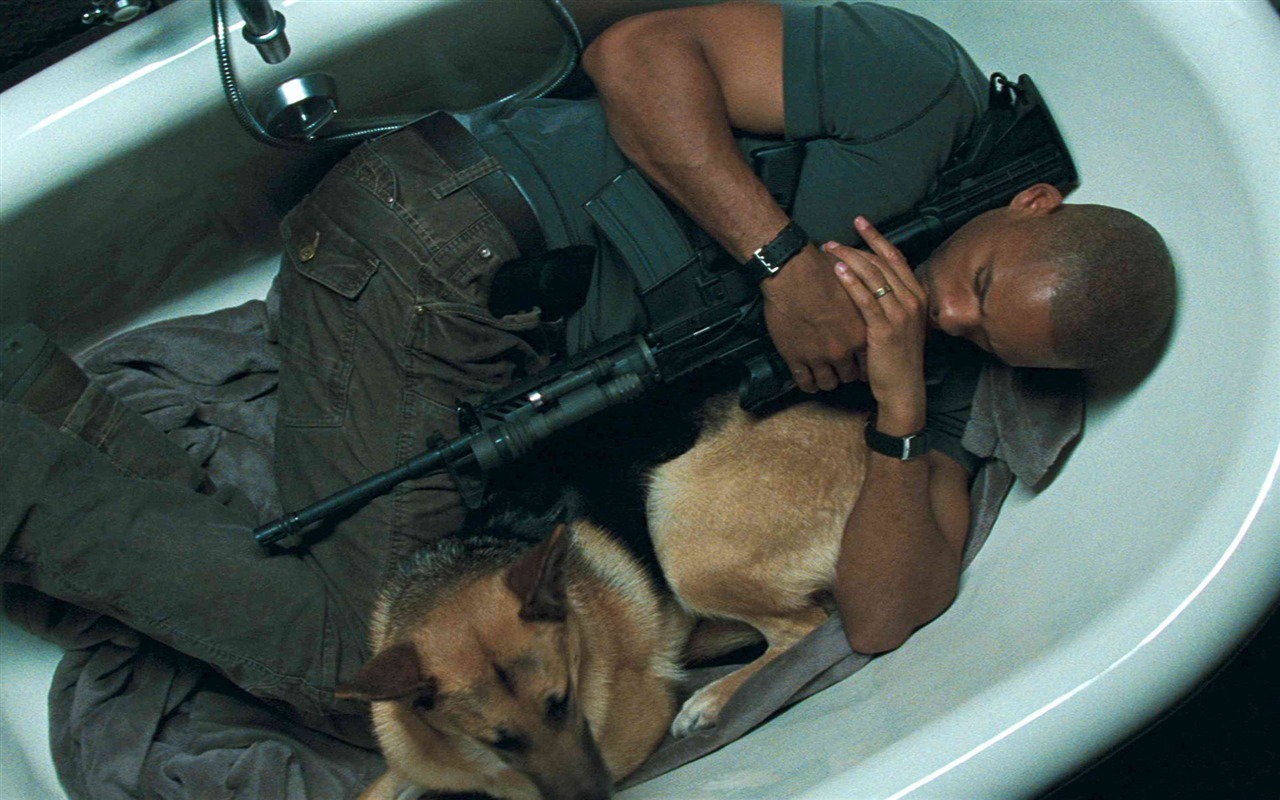 I Am Legend HD tapetu #5 - 1280x800