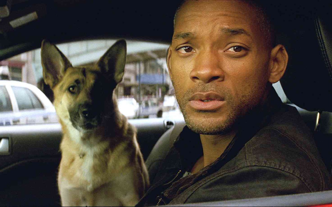 I Am Legend HD tapetu #8 - 1280x800