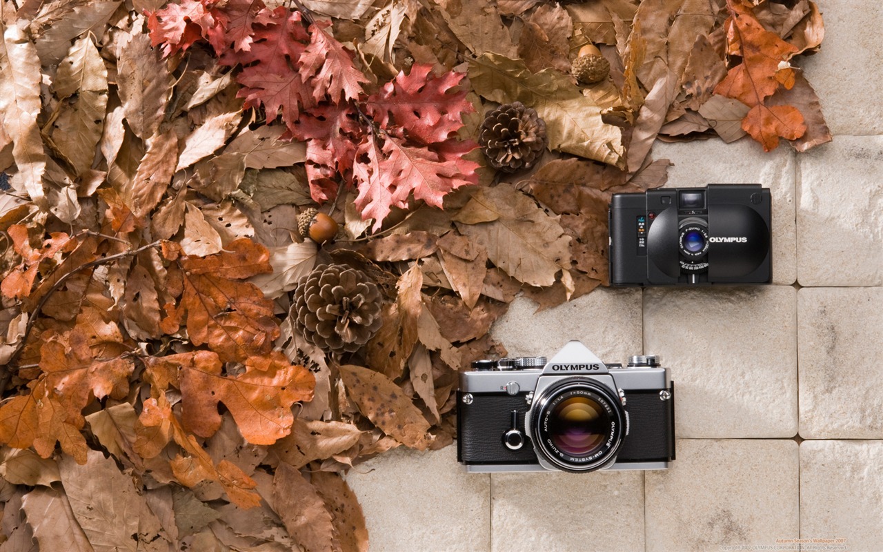 OLYMPUS tapety (5) #1 - 1280x800