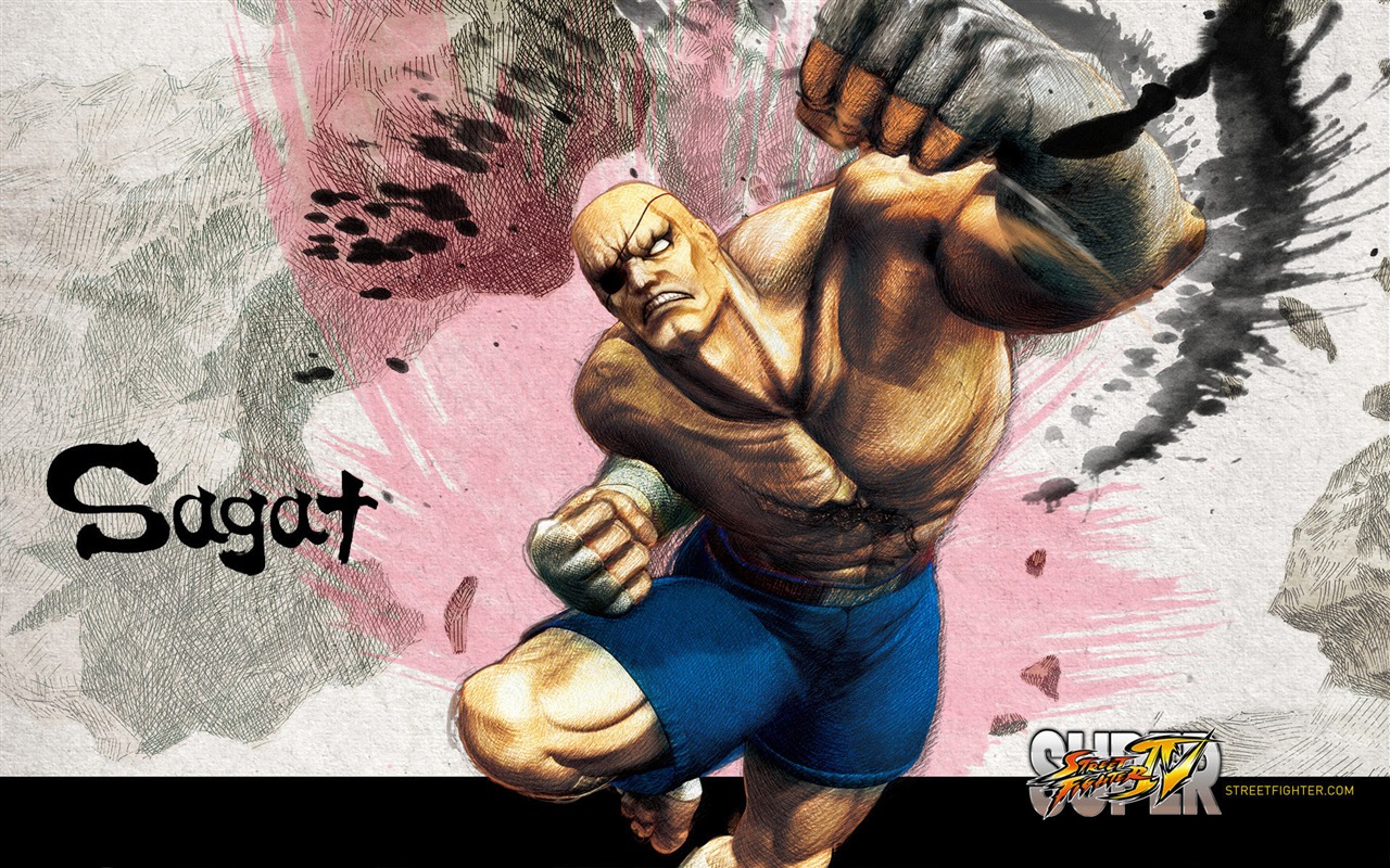 Super Street Fighter 4 HD Tapety na plochu #10 - 1280x800