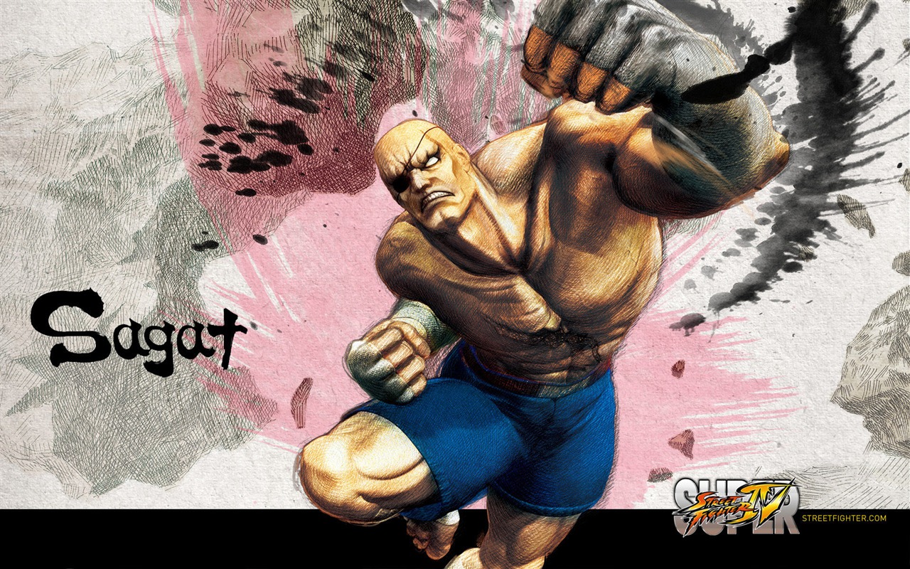 Super Street Fighter 4 Fondos de pantalla HD #10 - 1280x800