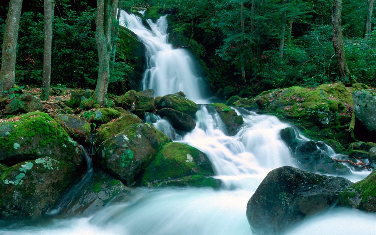 Cascada arroyos fondo de pantalla (6) #4 - 1280x800