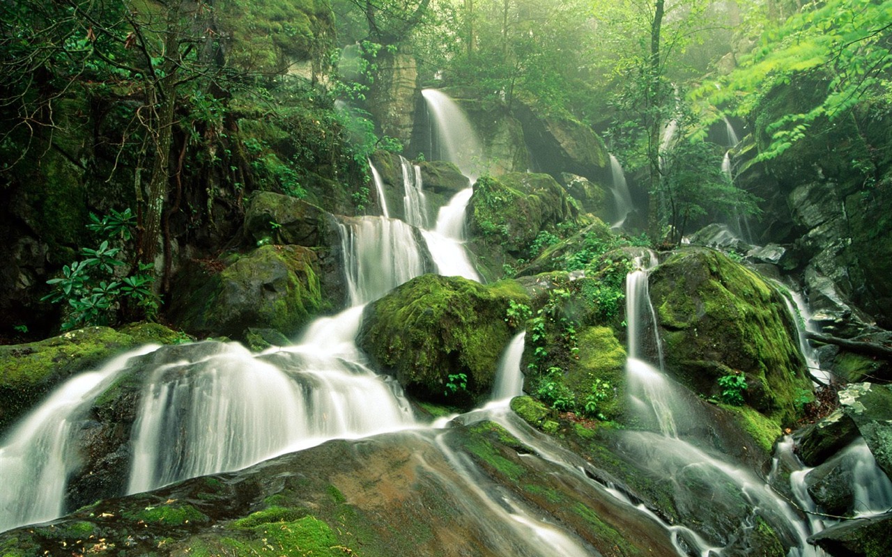 Cascada arroyos fondo de pantalla (6) #6 - 1280x800