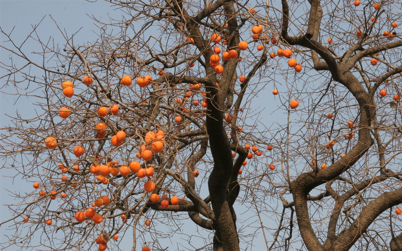 Landscape photography (3) (Li Shanquan works) #14 - 1280x800