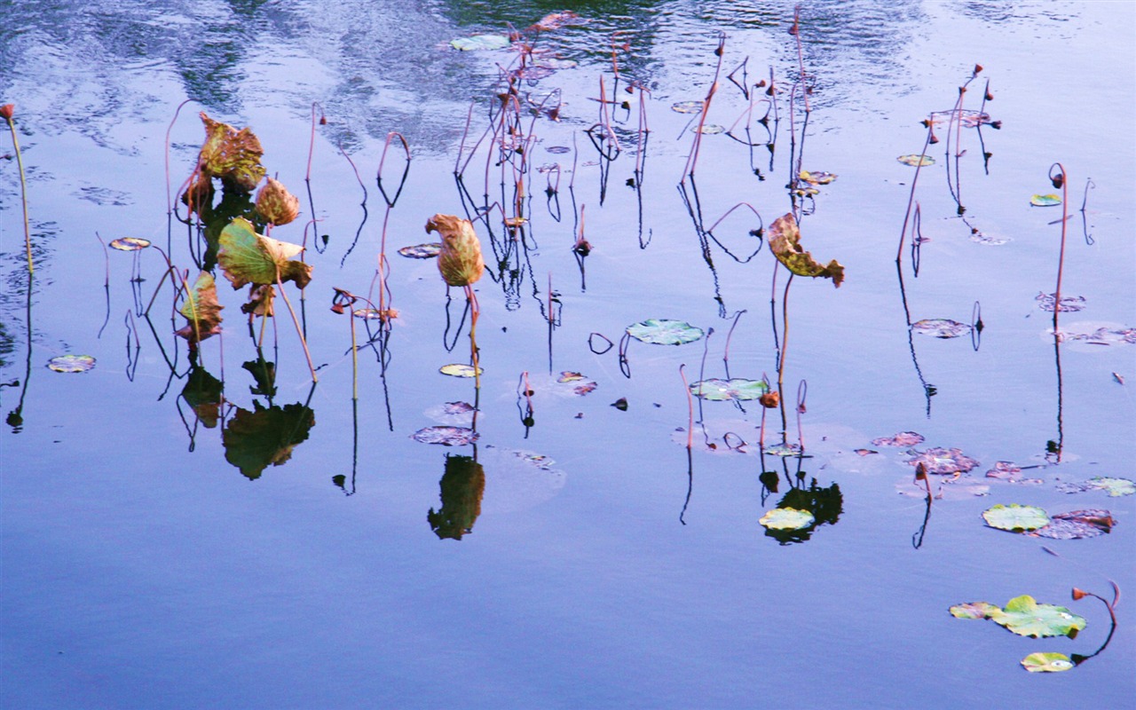 Landscape photography (4) (Li Shanquan works) #13 - 1280x800