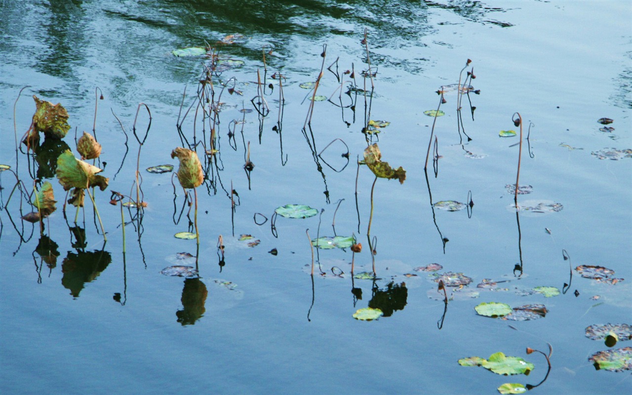 Landscape photography (4) (Li Shanquan works) #18 - 1280x800