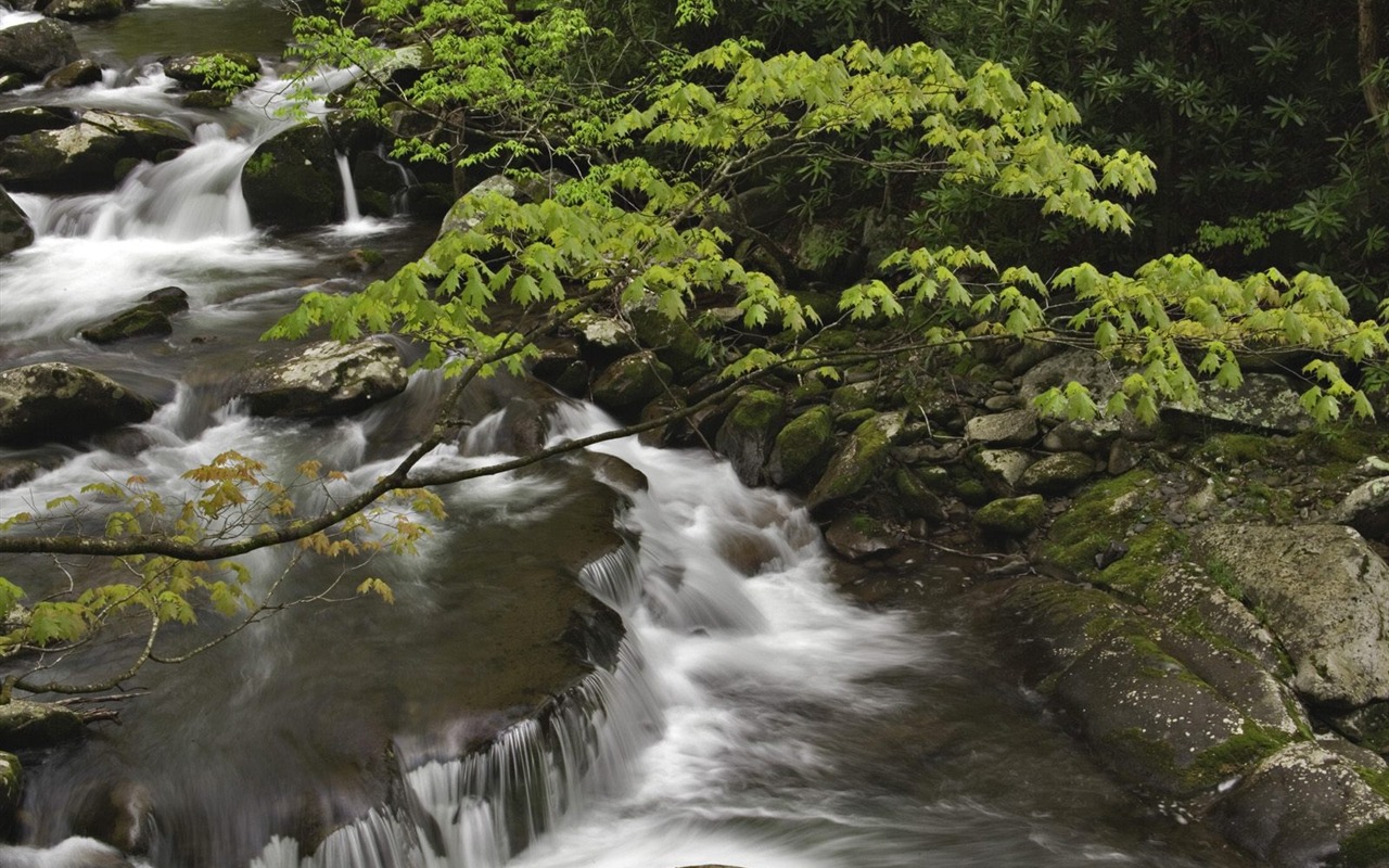 瀑布溪流 壁紙(七) #4 - 1280x800